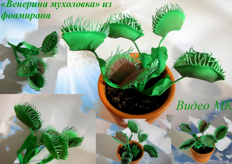 Венерина мухоловка из фоамирана - Мирсанова (2016)_0.jpg